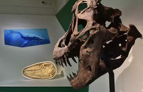 Visite guidée de l’exposition « Géants, au temps des dinosaures »