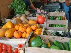 Marché de Teloché - Vendredi soir