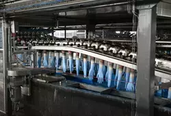 ManikHeir, usine sarthoise de gants en nitrile unique en Europe !