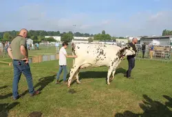 comices La Ferté-Bernard