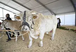 Inauguration de l'espace agricole de la Foire du Mans