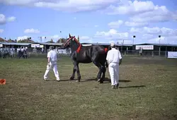 Inauguration de l'espace agricole de la Foire du Mans