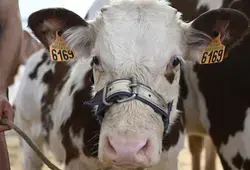 Inauguration de l'espace agricole de la Foire du Mans