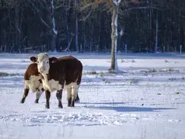 Journée mondiale du climat, le Département s’engage pour une Sarthe durable