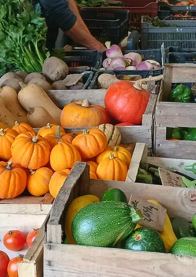 Marché de Teloché - Vendredi soir