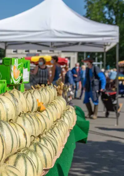 MARCHÉ JEUDI A LA SUZE