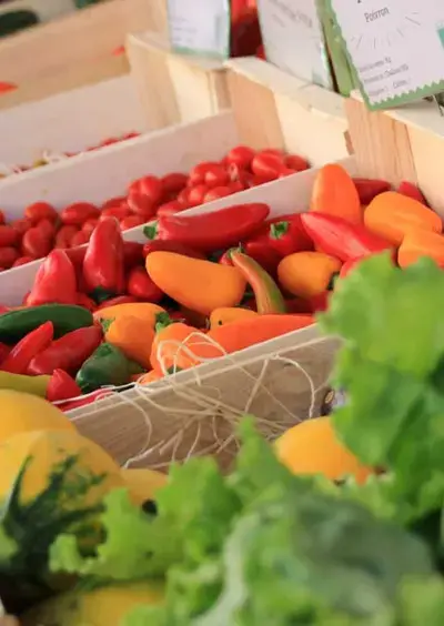 MARCHÉ DE PRODUCTEURS - MERCREDI LOUPLANDE