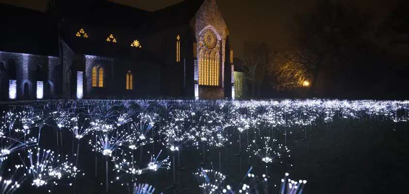 Illuminations de l’Abbaye Royale de l’Épau