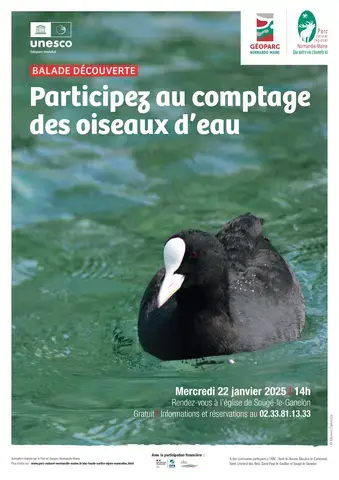 Balade découverte : comptage des oiseaux d'eau