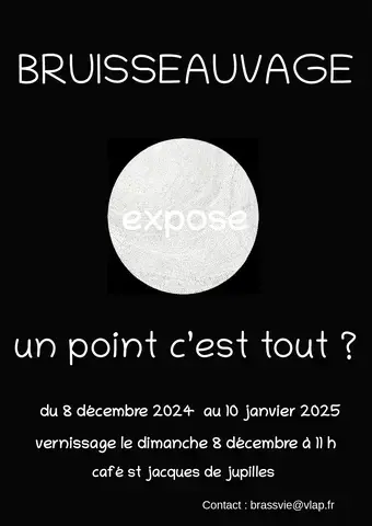 Exposition de Bruisseauvage, "Un point c'est tout ?" à la Brass'vie